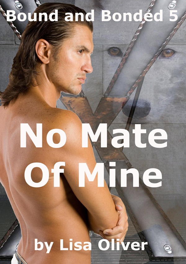 Book Cover: No Mate Of Mine