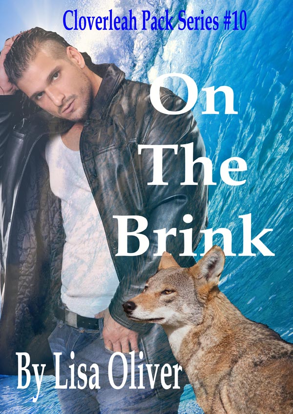 Book Cover: On The Brink