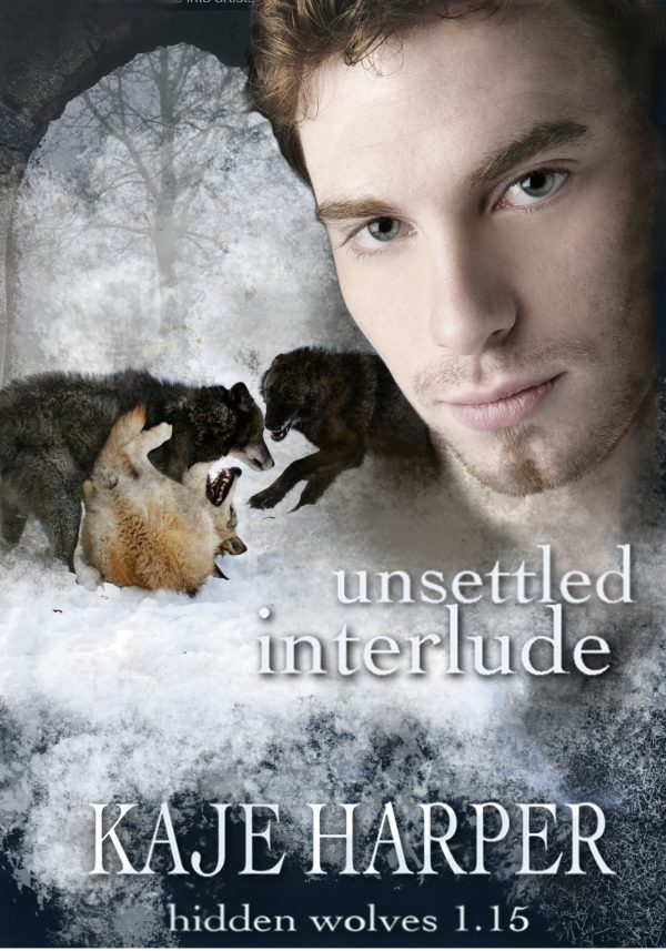 Unsettled Interlude - Kaje Harper - Hidden Wolves