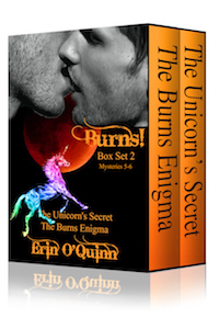 Burns Box Set 2 - Erin O'Quinn