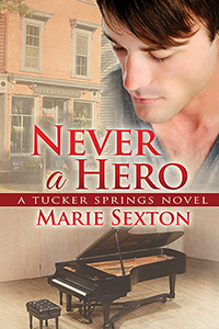 Book Cover: Never a Hero