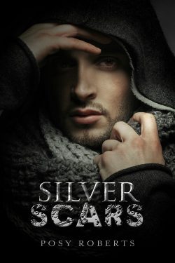 Silver Scars - Posy Roberts