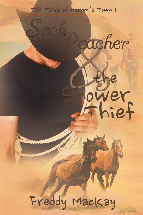 Book Cover: Sock Poacher & the Shower Thief