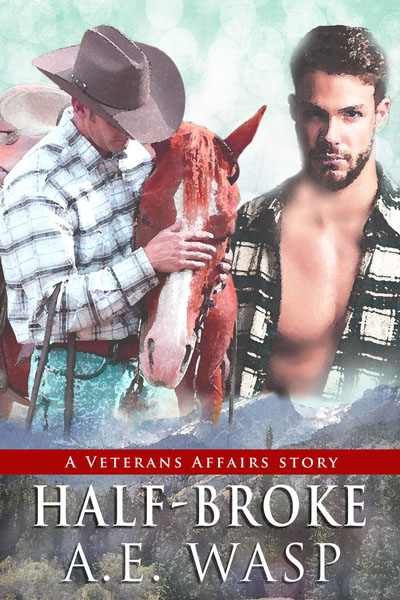 Half Broke - A.E. Wasp - Veterans Affairs