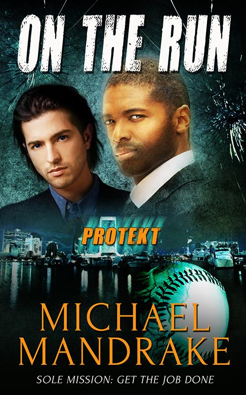 On the Run - Michael Mandrake