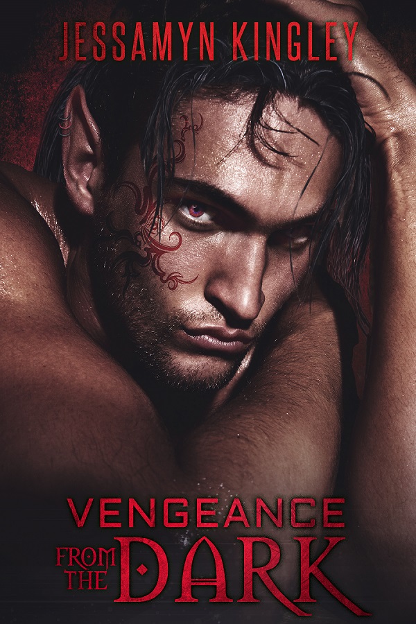 Vengeance from the Dark - Jessamyn Kingley