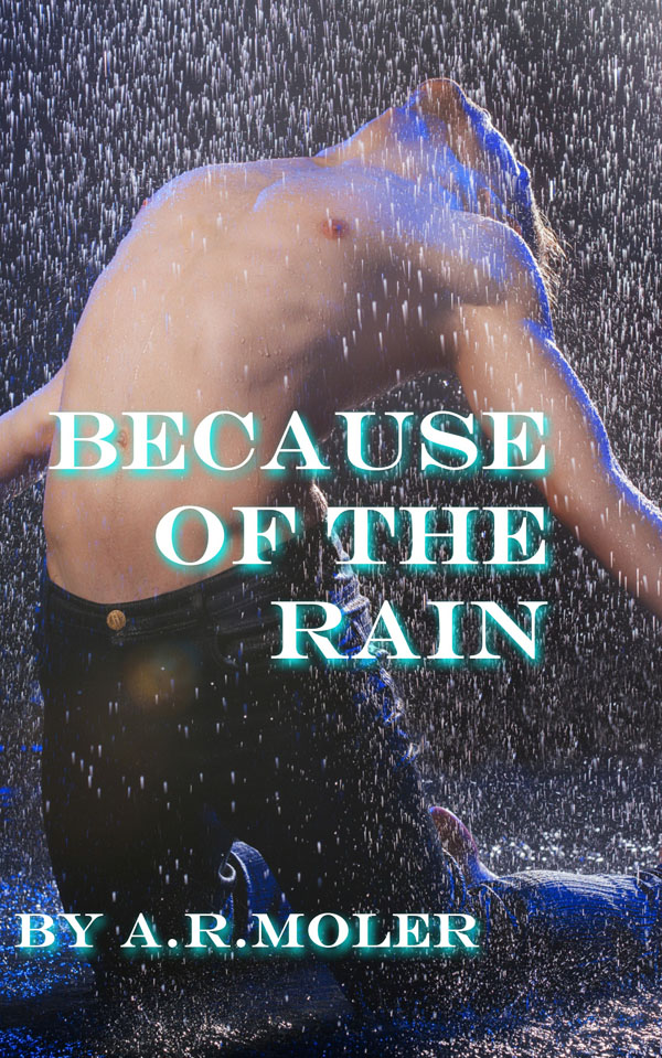 Book Cover: Because of the Rain