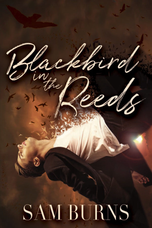 Blackbird in the Reeds - Sam Burns