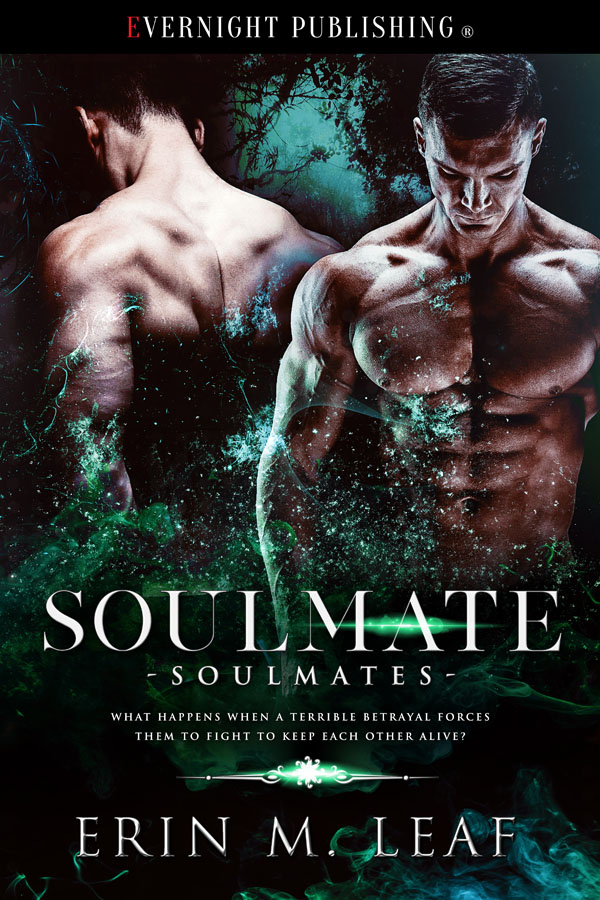 Soulmate - Erin M. Leaf