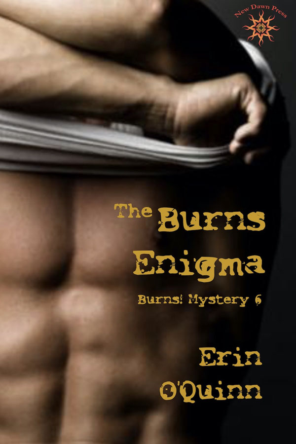 The Burns Enigma - Erin O'Quinn - Burns Mystery