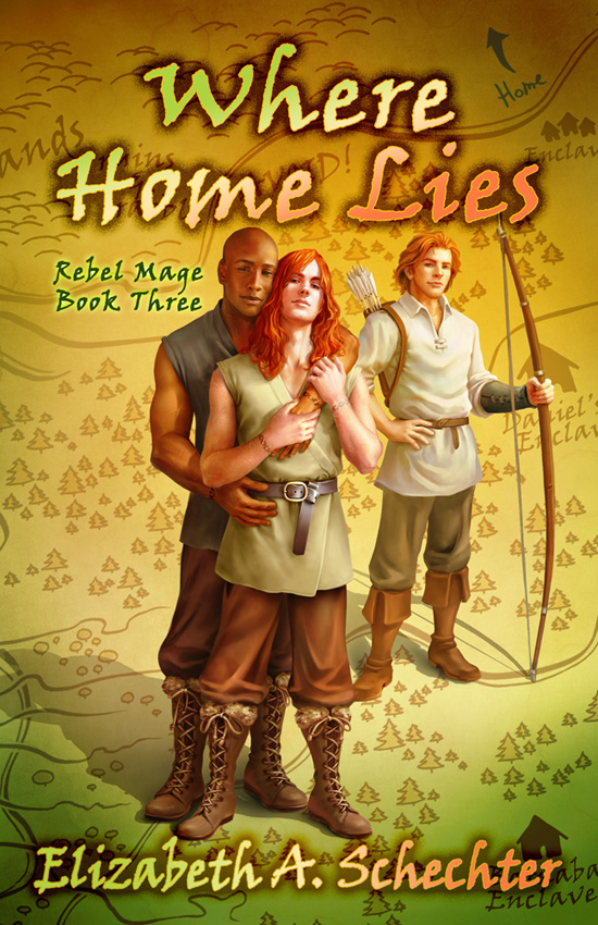 Where Home Lies - Elizabeth Schecter