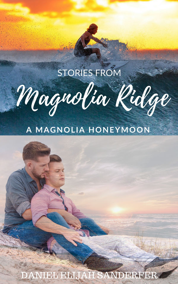 Stories From Magnolia Ridge - Daniel Elijah Sanderfer