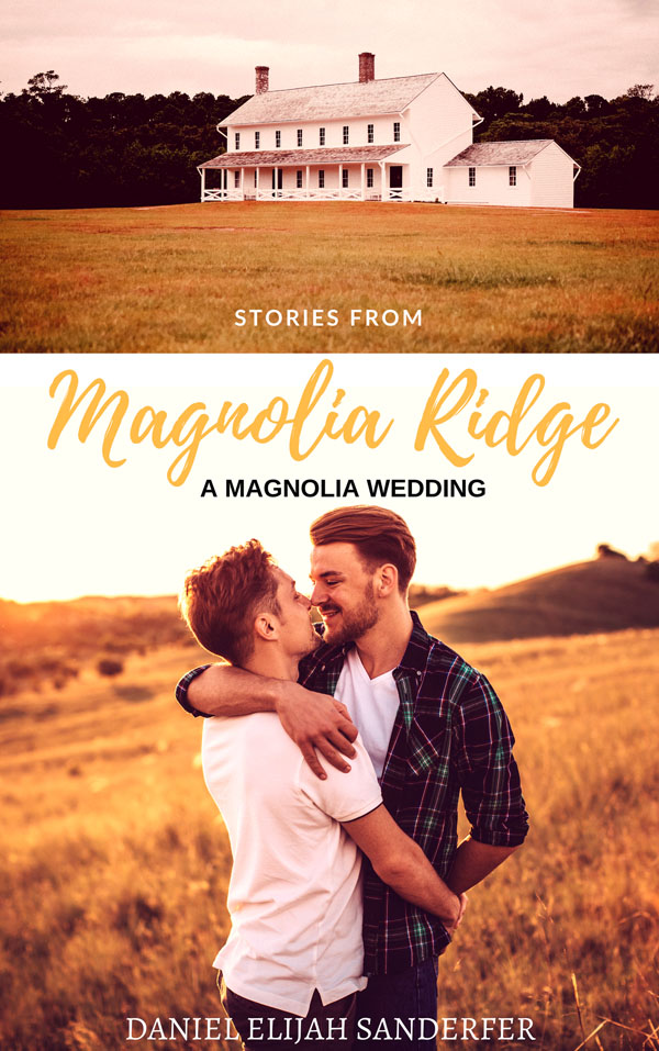 Stories From Magnolia Ridge - Daniel Elijah Sanderfer