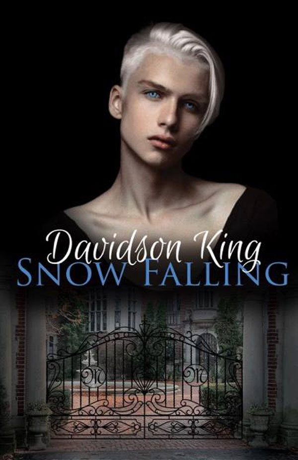 Snow Falling - Davidson King
