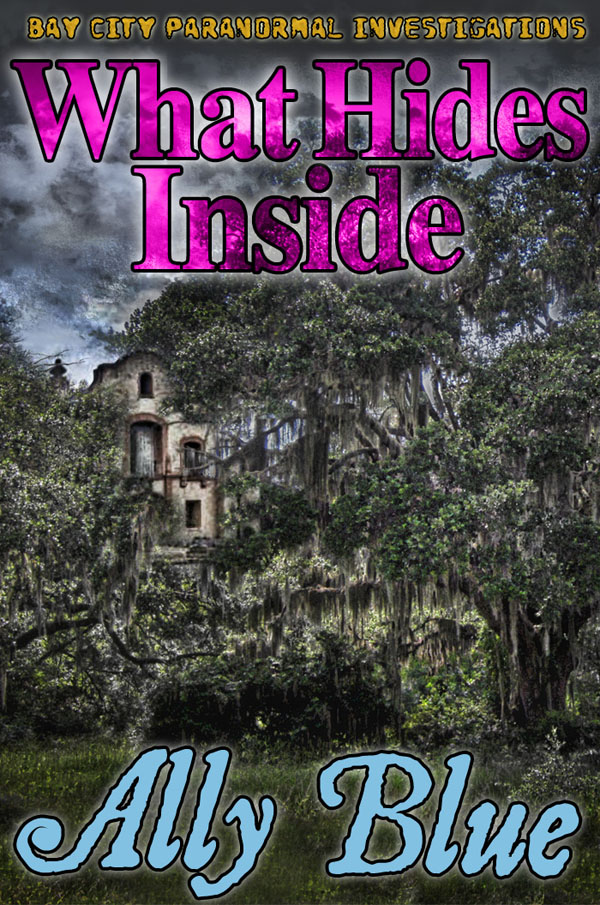 What Hides Inside - Ally Blue - Bay City Paranormal Investigations