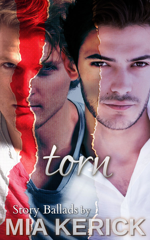 Torn - Mia Kerick - Story Ballads