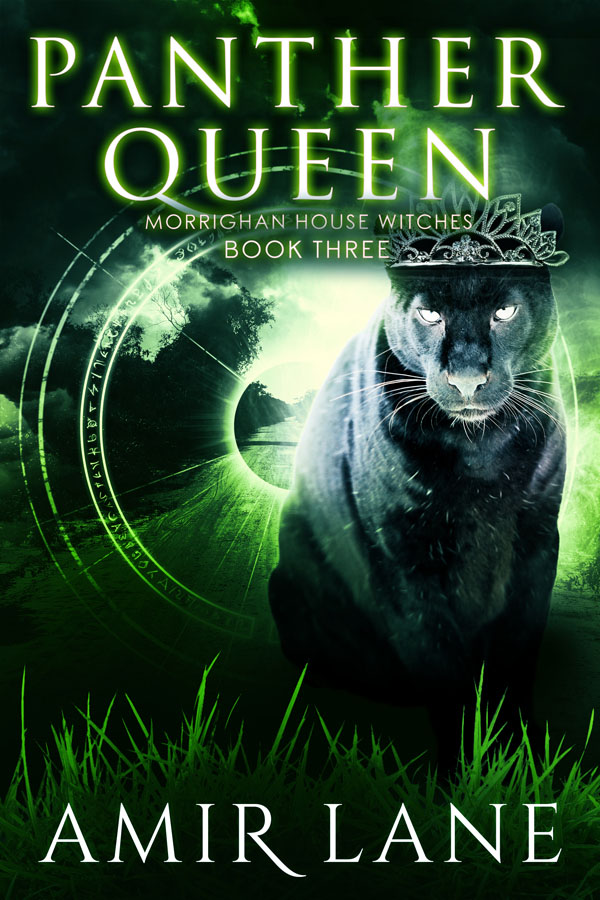 Panther Queen - Amir Lane