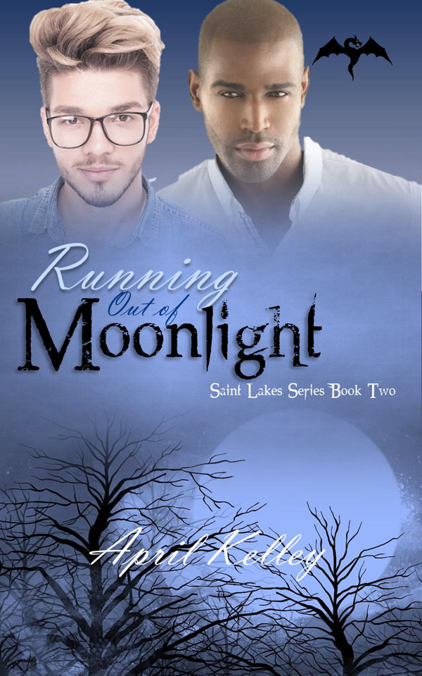 Running Out of Moonlight - April Kelley - Saint Lakes