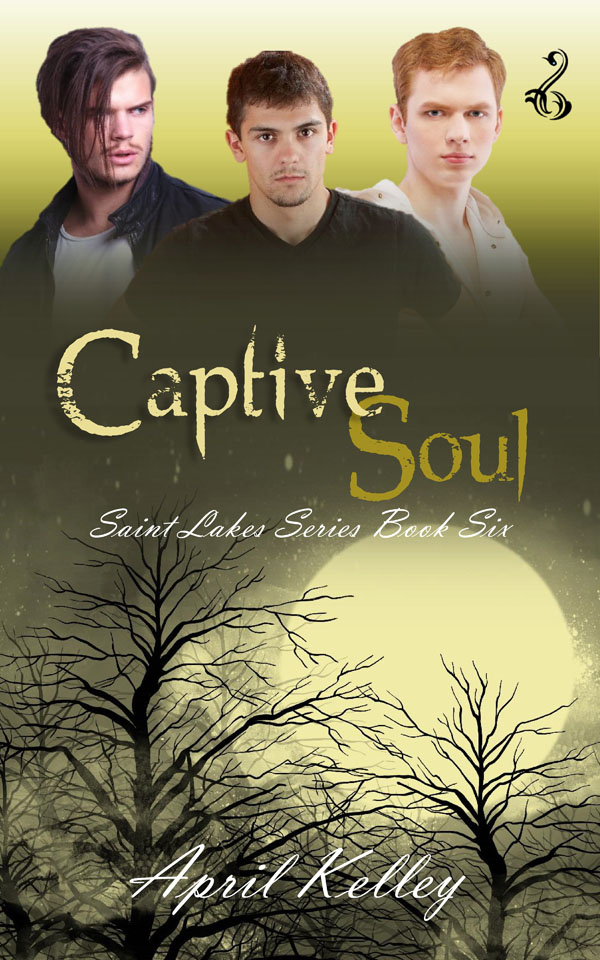 Captive Soul - April Kelley - Saint Lakes
