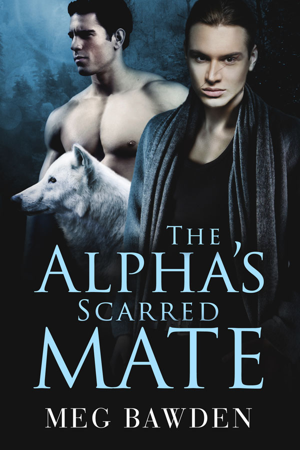 The Alpha's Scarred Mate - Meg Bawden