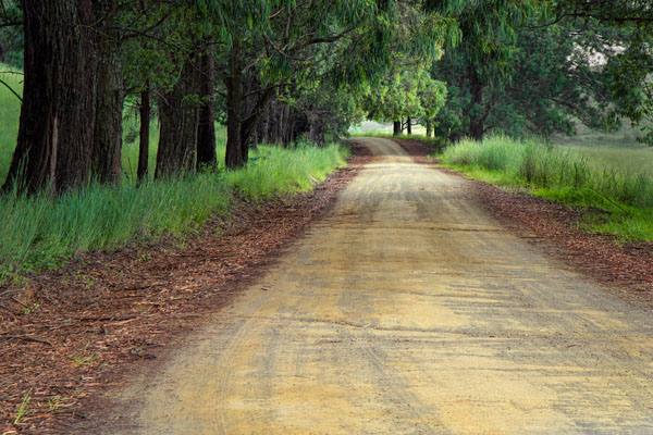 Dirt Road