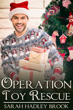 Operation Toy Rescue - Sarah Hadley Brook