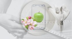 A white plate on a white background, with an apple and an apple blossom. 