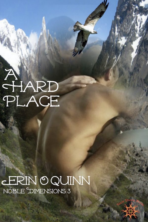 A Hard Place - Erin O'Quinn - Noble Dimensions