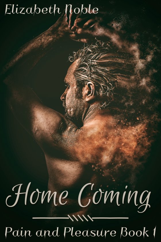 Home Coming - Elizabeth Noble - Pain and Pleasure