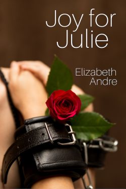 Joy for Julie - Elizabeth Andre