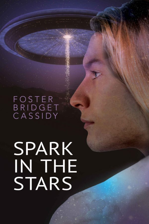 Spark in the Stars - Foster Bridget Cassidy
