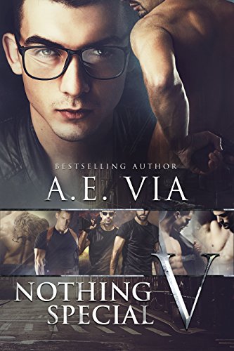 Nothing Special Book 5 - A.E. Via