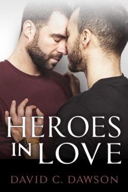 Heroes in Love - David C. Dawson