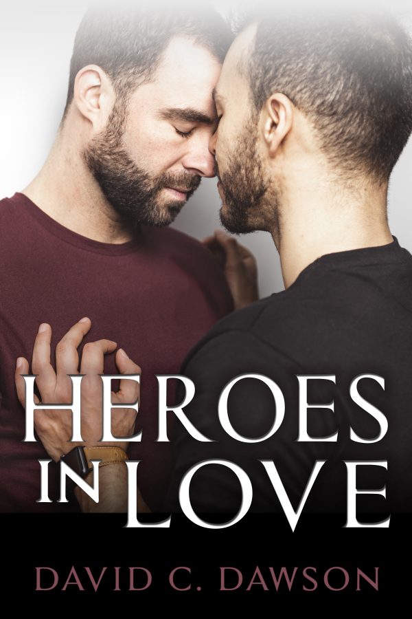 Heroes in Love - David C. Dawson