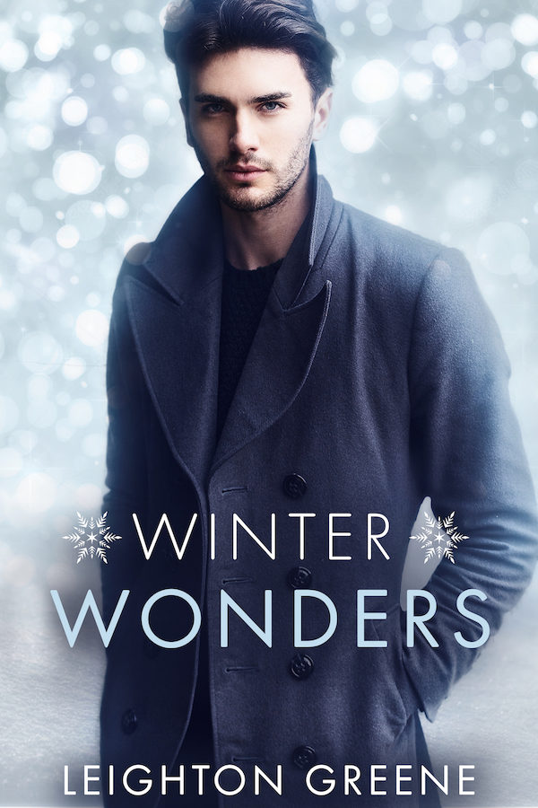 winter wonders vr