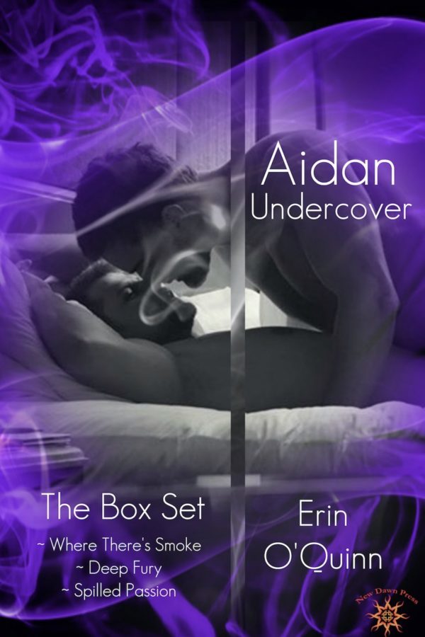 Aiden Undercover Box Set - Erin O'Quinn
