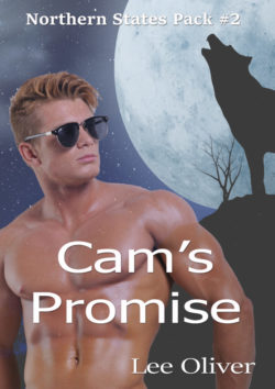 Cam's Promise - Lisa Oliver - Northern States