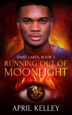 Running Out of Moonlight - April Kelley - Saint Lakes