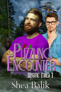 Puzzling Encounter - Shea Balik - Mystic Pines