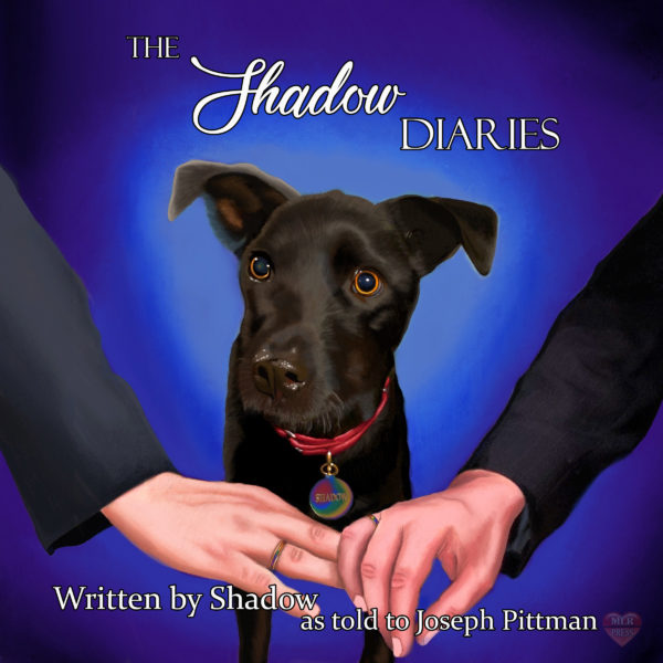 The Shadow Diaries - Joseph Pittman