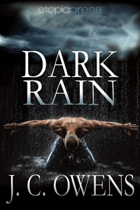 Dark Rain - J.C. Owens