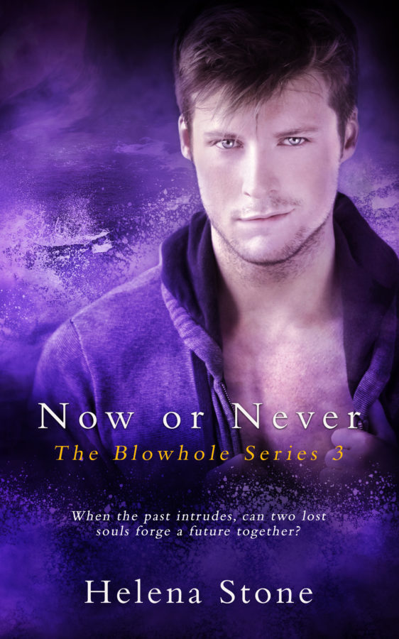 Now or Never - Helena Stone - Blowhole Series