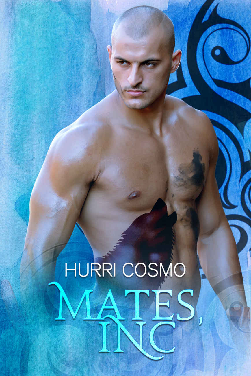 Mates, Inc. - Hurri Cosmo