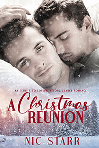 A Christmas Reunion - Nic Starr