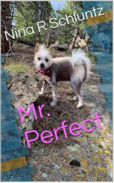 Mr. Perfect - Nina R. Schluntz
