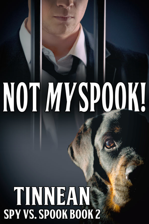 Not My Spook - Tinnean - Spy vs. Spook Book
