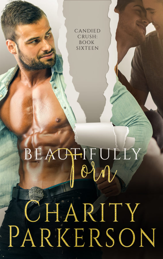 Beautifully Torn - Charity Parkerson - Candied Crush