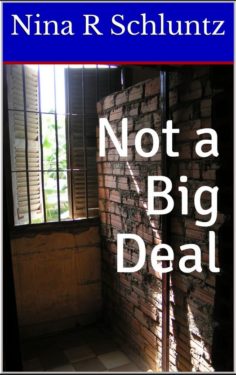 Not a Big Deal - Nina R Schluntz