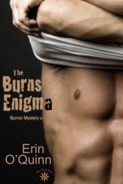 The Burns Enigma - Erin O'Quinn - Burns Mystery