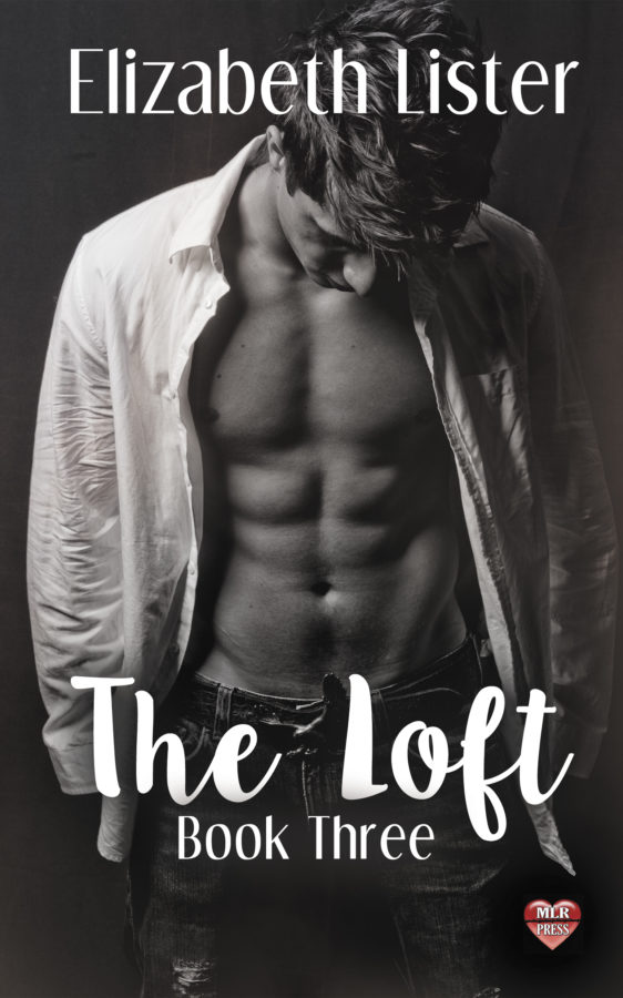 The Loft book 3 - Elizabeth Lister